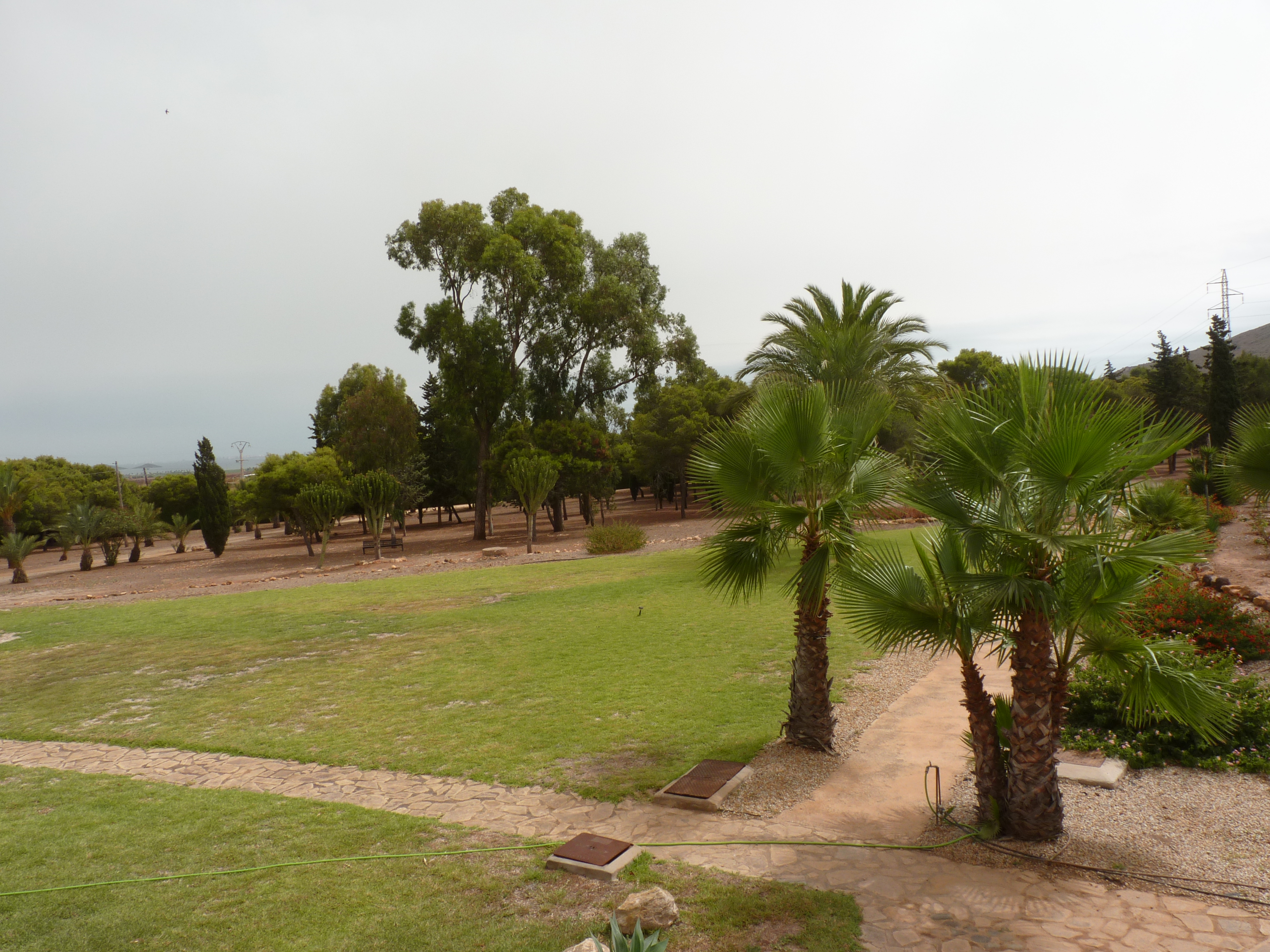 No s'ha trobat l'arxiu